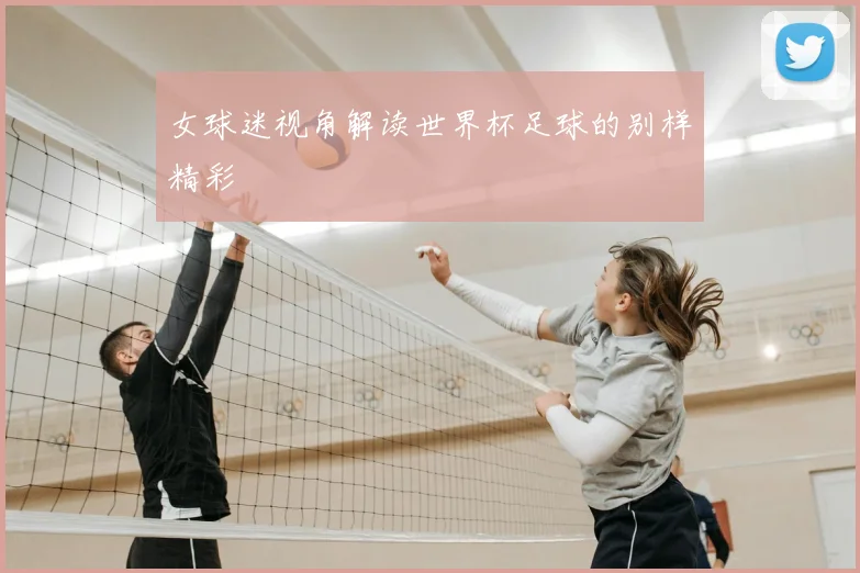 女球迷视角解读世界杯足球的别样精彩