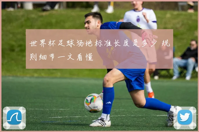 世界杯足球场地标准长度是多少 规则细节一文看懂